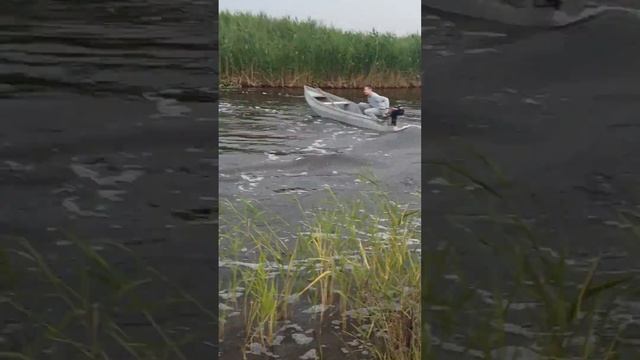 Мой самодельный флот смотреть онлайн