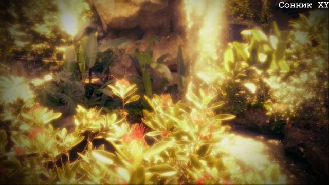 Что обозначает если приснилась Бабочка смотреть онлайн