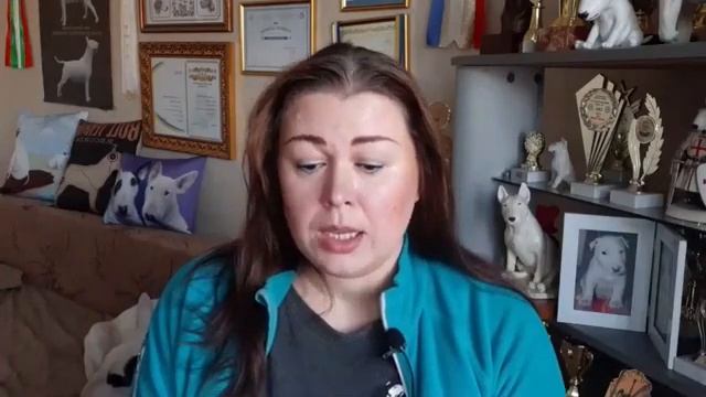 Кормление собаки. Мясо, субпродукты - вопросы и ответы смотреть онлайн