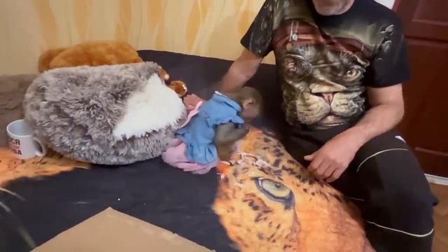 Люся ВСЕГДА ПРАВА))))) смотреть онлайн