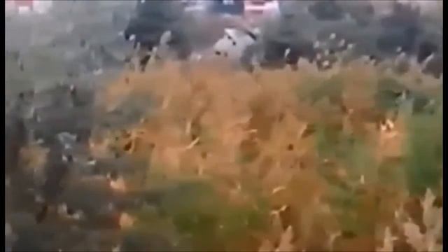 Ваз снегоход на гусеницах. смотреть онлайн