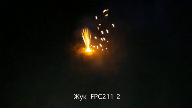 FPC211 2 жук смотреть онлайн
