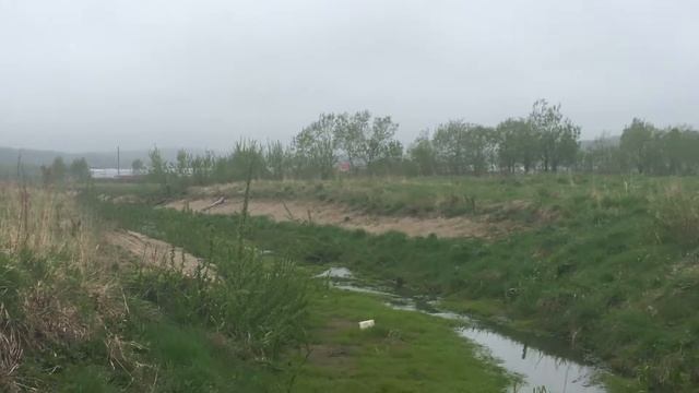 Год экологии в России. Река Сиговка на Сахалине смотреть онлайн