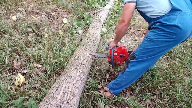 Efco MT440 nyár döntèse kinai nem túl èles lánccal majd jött a felmentő háromhetvenkettő xpè.? смотреть онлайн