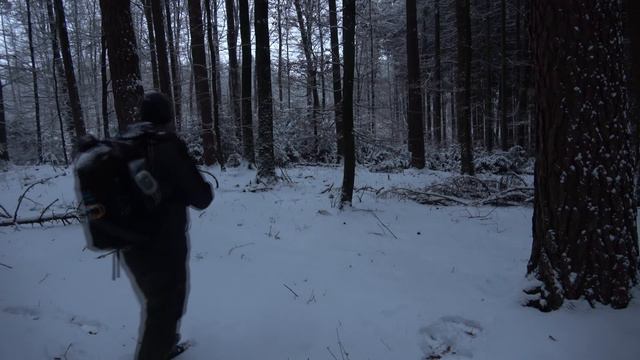 Bushcraft Tour: Biwak im Winterwald | Overnighter | Outdoor Baden-Württemberg смотреть онлайн