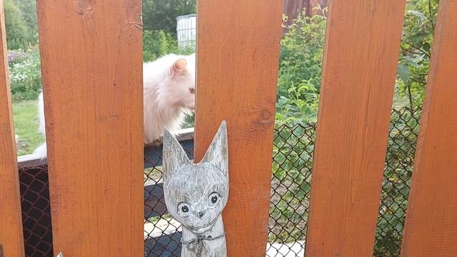 14 Июля 2022 г. Четверг. День Смородины. Кузьма и Демьян, Летние Кузьминки. смотреть онлайн