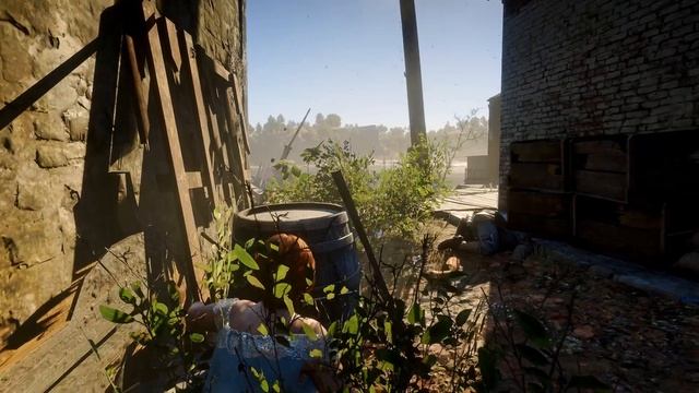 Nothing Can Beat This Game in Terms of Realism - RDR 2 MAX ULTRA Settings REAL LIFE Graphics ReShad смотреть онлайн