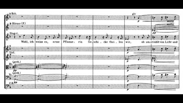 Richard Wagner - Wesendonck Lieder (Audio + Full Score)