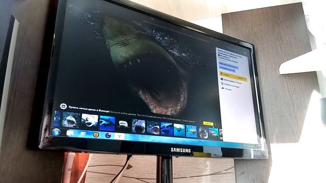 Смотрим картинки страшных акул смотреть онлайн