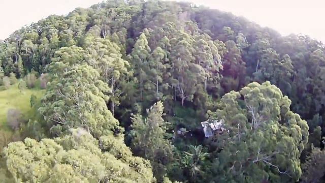 Quadrocopter Extreme Jungle смотреть онлайн