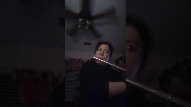 Night On Bald Mountain by Modest Moussorgsky Arranged by Michael Sweeney. Flute POV смотреть онлайн