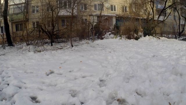 Как поймать синицу Ловим синичку на колбасу смотреть онлайн