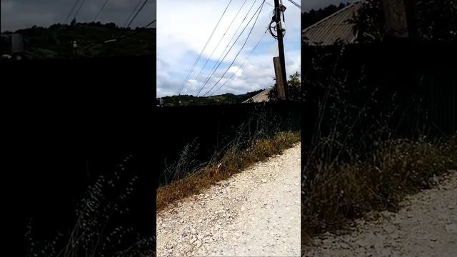 Абхазия. Цандрипш. Вверх по ущелью Хашупсе. смотреть онлайн