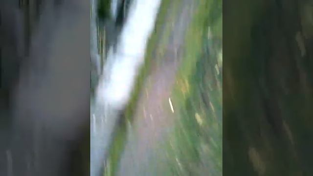 Непосредственно Крапивино серия 3 смотреть онлайн