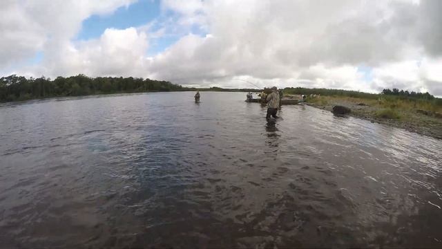 Кижуч. Рыбалка на р.Большая (Камчатка) смотреть онлайн