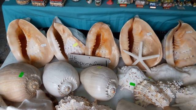 Улицы Кранево, цены, фрукты дороже, чем в Минске. Kranevo, Bulgaria. Kate BY. смотреть онлайн