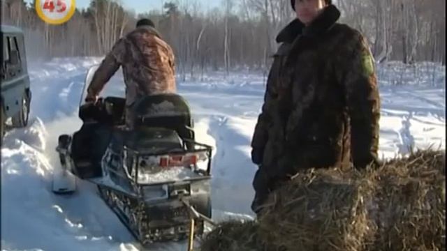 Запрет на охоту