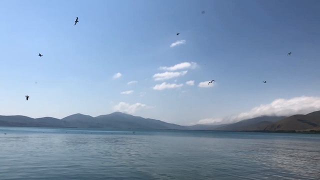 Beautiful Sevan and seagulls flight, Armenia смотреть онлайн