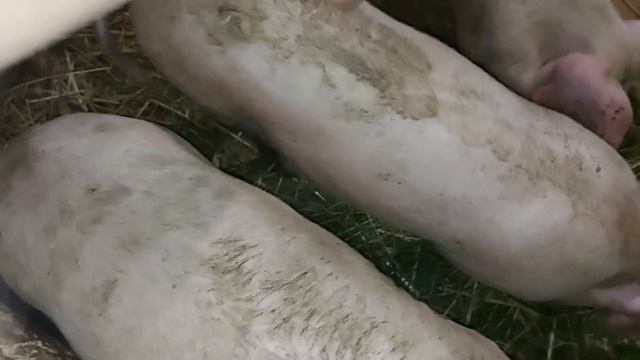 Дела потихоньку идут. смотреть онлайн