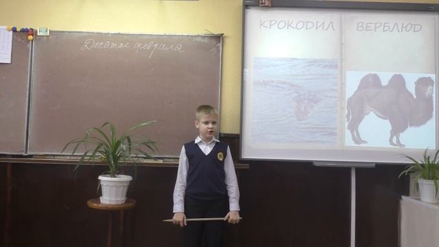 Павел Ермаков читает произведение «Что ни страница, — то слон, то львица» В. В. Маяковского смотреть онлайн