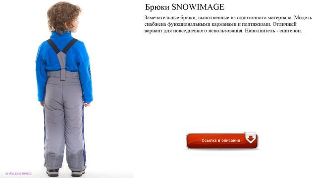 Брюки SNOWIMAGE утеплённные