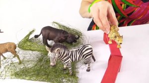 Учим животных зоопарка. Игрушки и видео с Машей