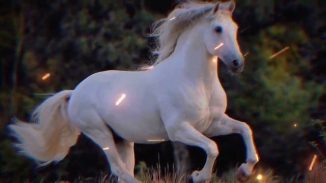 Hazrat Ali (RZ) ka Ek Waqia | Islamic stories audio in Urdu | Stories Islamic смотреть онлайн