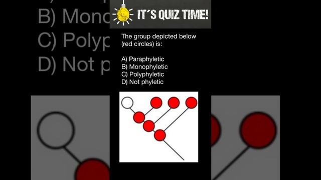 Monophyletic, Paraphyletic, Polyphyletic groups смотреть онлайн