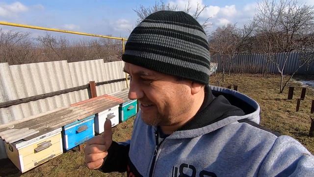 Начало сезона! Выношу пчел! Результаты зимовки, состояние сентябрьских отводков и основных семей! смотреть онлайн