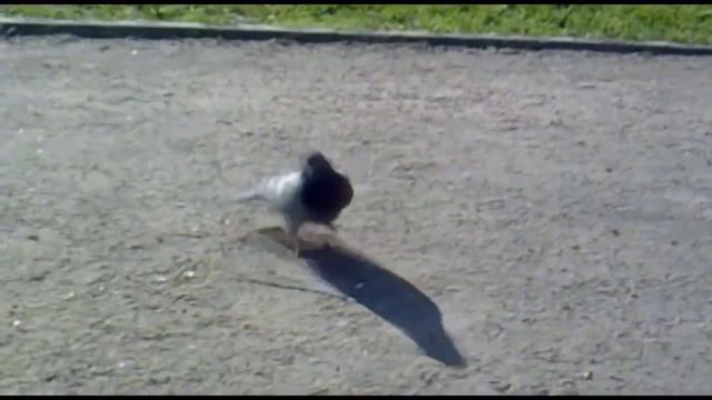 НОВЫЙ КОНТЕНТ!? НОВЫЙ ЗИМНИЕ КАРТЫ НА ХАЙПИКСЕЛЕ! [Hypixel Sky Wars Mini-Game Minecraft] смотреть онлайн