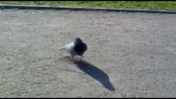 НОВЫЙ КОНТЕНТ!? НОВЫЙ ЗИМНИЕ КАРТЫ НА ХАЙПИКСЕЛЕ! [Hypixel Sky Wars Mini-Game Minecraft]