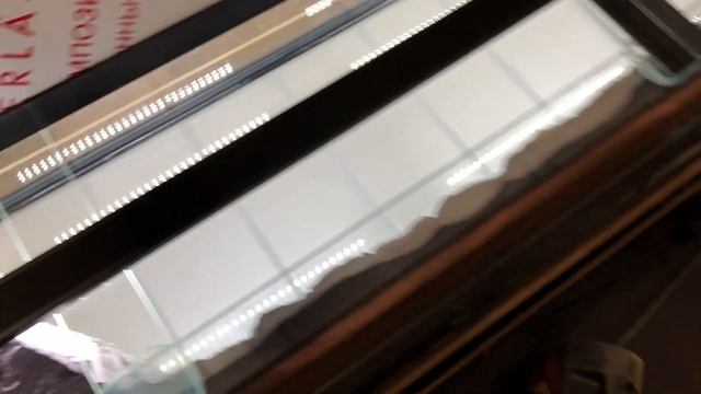 Аквариум на заказ первый аквариумный завод обзор смотреть онлайн