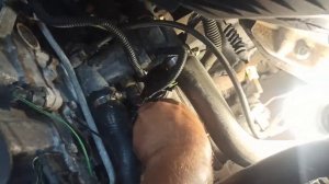 Лада приора, заглохла на ходу, не заводится