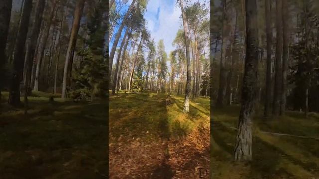 Новый #Patton, тест из коробки по оффроуду в Карельском лесу ч.3 #euc #leaperkim смотреть онлайн