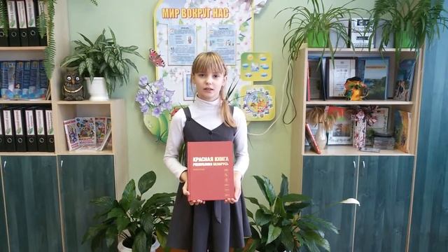Нужно защищать и беречь родную природу смотреть онлайн