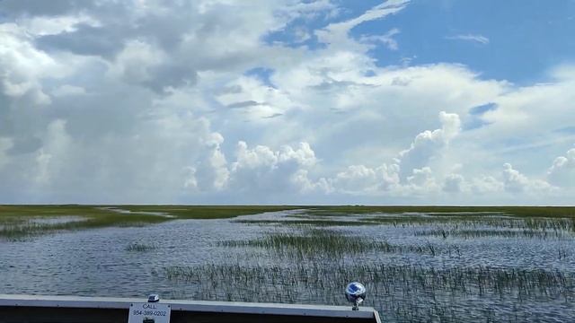 235. Прогулка на лодке-глиссер по болотам Флориды! Crocodile farms. Florida. USA. смотреть онлайн