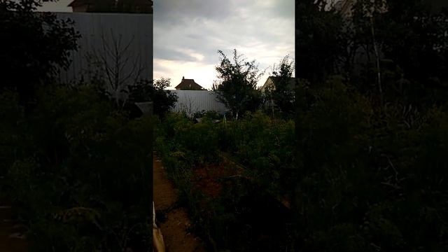 Лайфхак для огорода поливалка выше на 1 метр смотреть онлайн