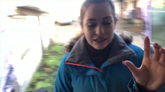 HORSE BOX TOUR #socialsuperchargedequestrian challenge || KATIELEWIS100 смотреть онлайн