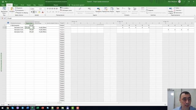 Использование производительности ресурсов в MS Project Pro