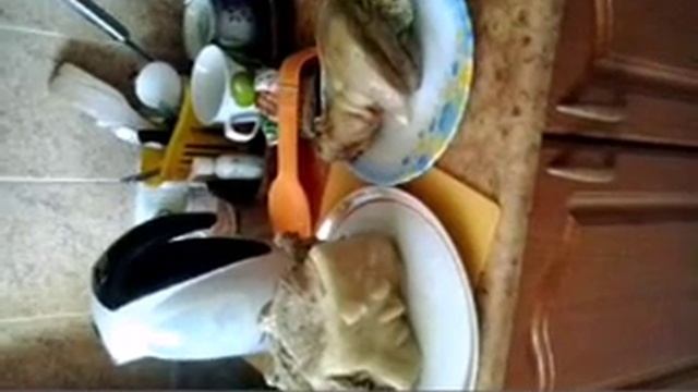 рулька свинная смотреть онлайн