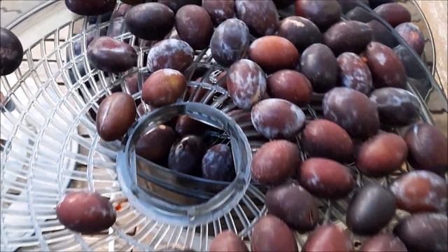 Искусство Созидания