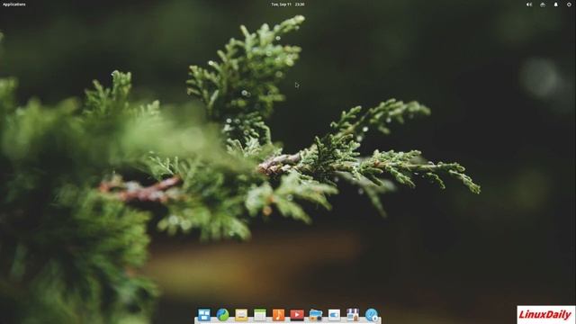 Pros and Cons of Elementary OS смотреть онлайн