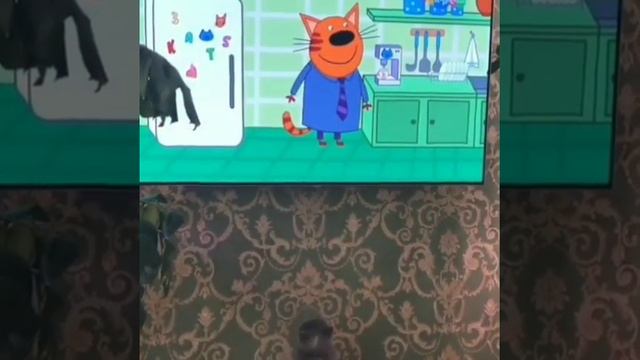 Любимый мультик перед сном. смотреть онлайн