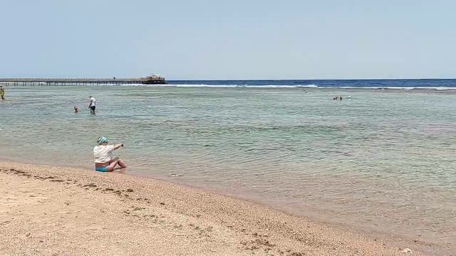 Կարմիր ծով ,լողափ, Եգիպտոս / Красное море , Египет, пляж, красота ... смотреть онлайн