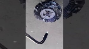 Вискомуфта Маз,неробоча пружина