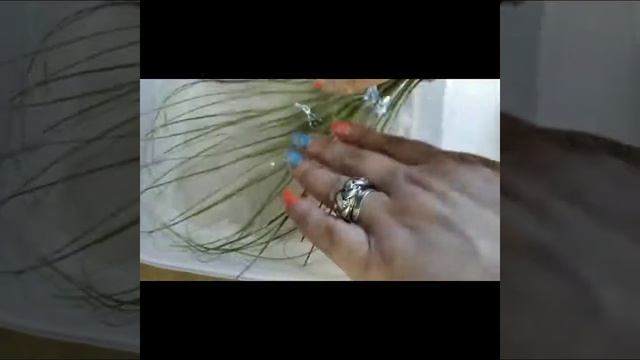 Тиландсии смотреть онлайн