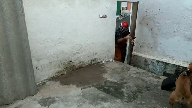 Tio K9 Invasão domiciliar (Pitbull Pantera) смотреть онлайн