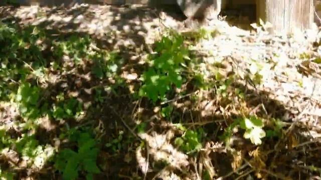 Дочка первый раз в нашем доме. Сломался насос.. смотреть онлайн