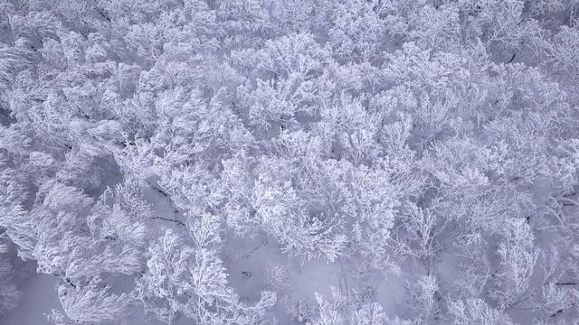 Наш удивительный зимний Крым смотреть онлайн