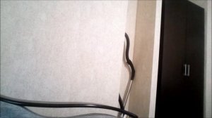 как парят мозг соседи!слышимость панельного дома!